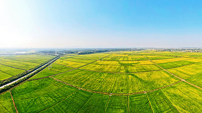 高标准农田“丰”景如画 组详情页 - “大国三农”图片库 - farmer.vcgvip.com