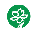 上海电视节