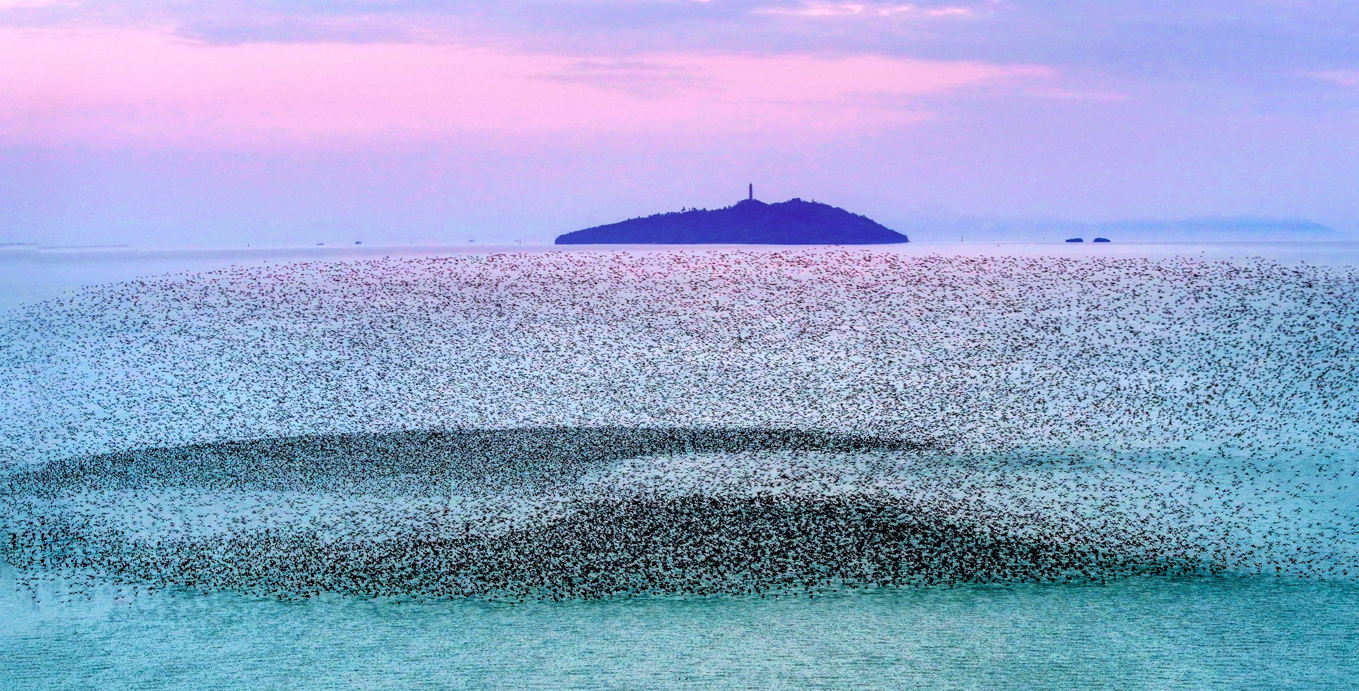 2025安徽省“有你更‘皖’美”生物多样性主题摄影比赛